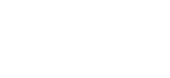 News Network Online